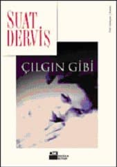 Çılgın Gibi
