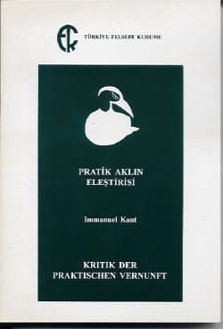 Pratik Usun Eleştirisi