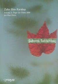 Şubatta Saklambaç