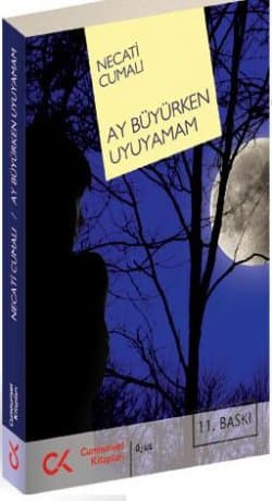 Ay Büyürken Uyuyamam