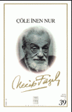 Çöle İnen Nur