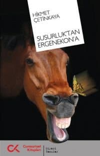 Susurluk`tan Ergenekon`a