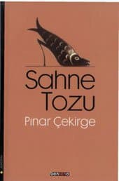 Sahne Tozu