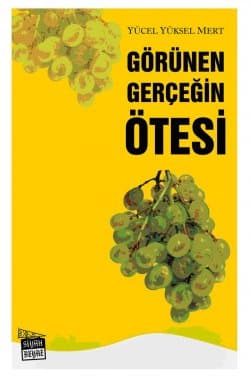 Görünen Gerçeğin Ötesinde