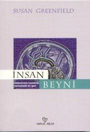 İnsan Beyni