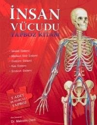 İnsan Vücudu Yapboz Kitabı