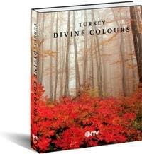 Turkey Divine Color