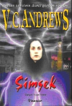 Şimşek (Hudson, #2)
