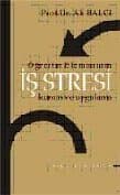 İş Stresi