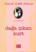 Dağa Çıkan Kurt