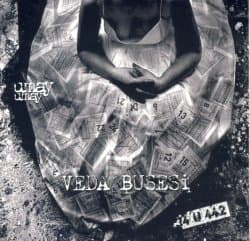 34U442 Veda Busesi
