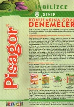 8. Sınıf İngilizce Denemeler