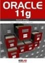 Oracle 11g