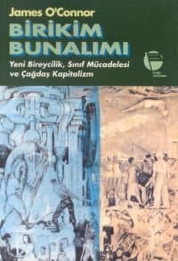 Birikim Bunalımı