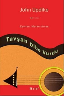 Tavşan Dibe Vurdu (Tavşan Angstrom #2)