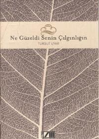 Ne Güzeldi Senin Çılgınlığın
