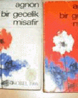 Bir Gecelik Misafir (2cilt)