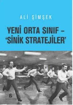 Yeni Orta Sınıf - 'Sinik Stratejiler'