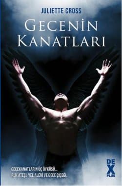 Gecenin Kanatları ( Nightwing Serisi, #1-3 )