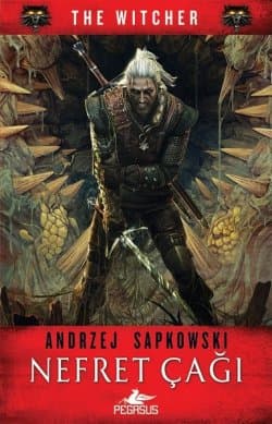 Nefret Çağı (The Witcher, #4)