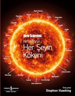 Neredeyse Her Şeyin Kökeni