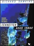 Cennetten Akan Irmak