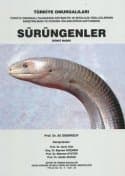 Sürüngenler