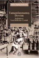 Tamamlanmamış Devrim